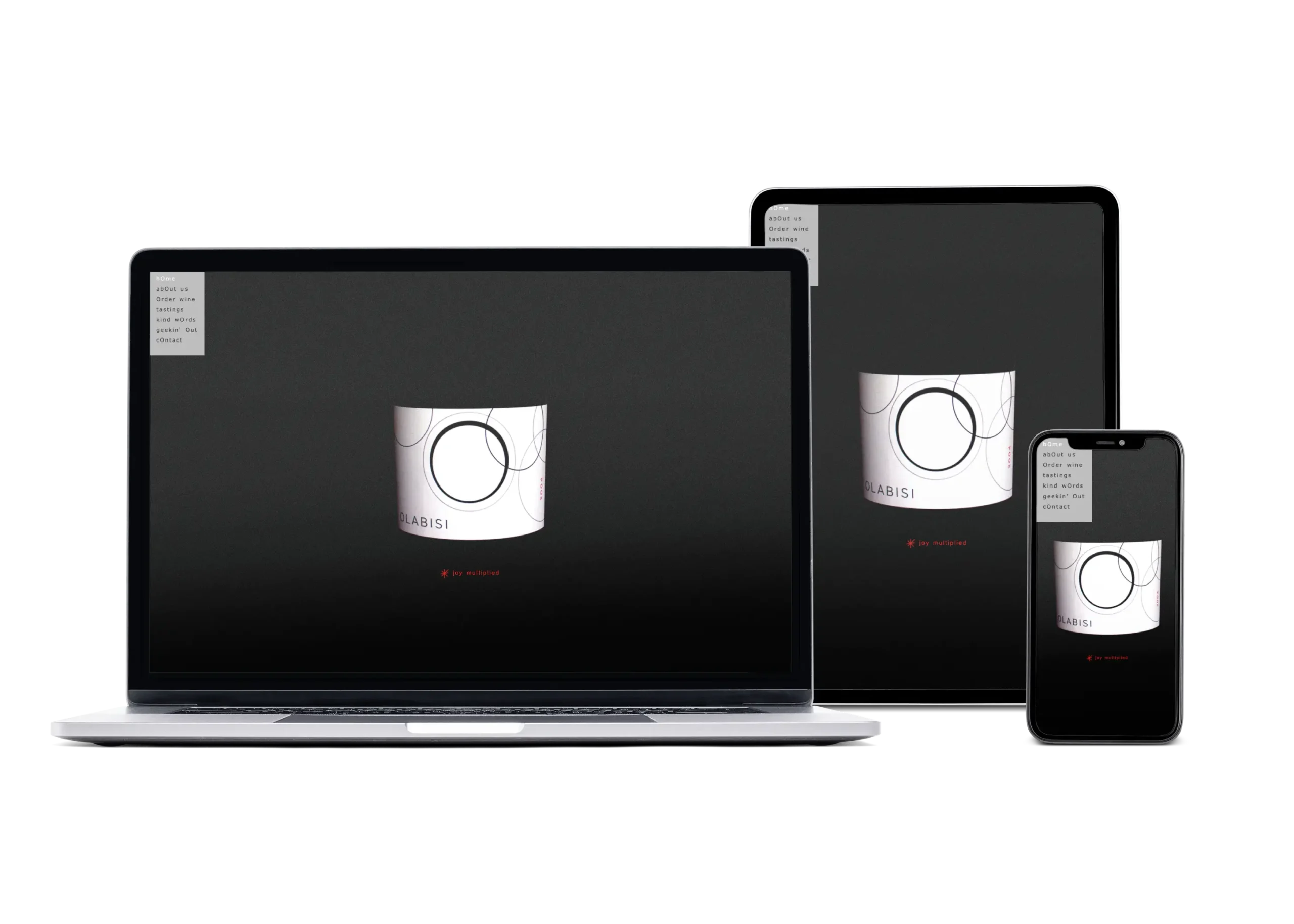 olabisi wines web design