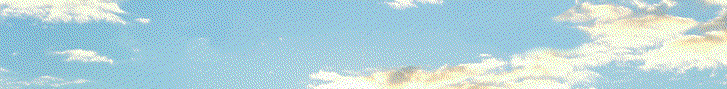 digital marketing ad banner for kashi