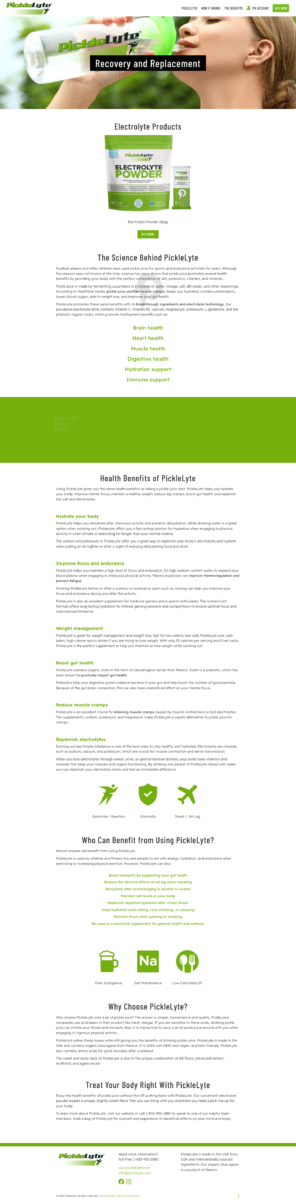 web design development wordpress elementor picklelyte home page